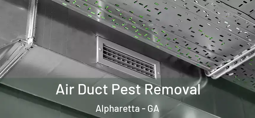 Air Duct Pest Removal Alpharetta - GA