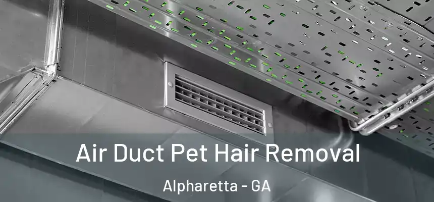  Air Duct Pet Hair Removal Alpharetta - GA