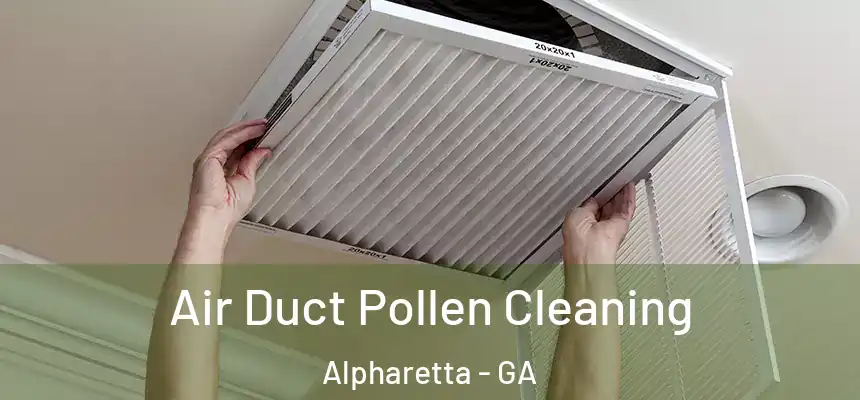  Air Duct Pollen Cleaning Alpharetta - GA