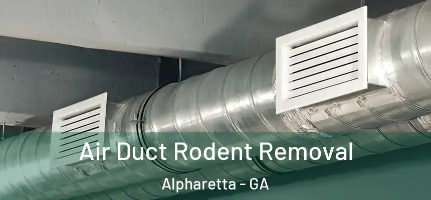 Air Duct Rodent Removal Alpharetta - GA