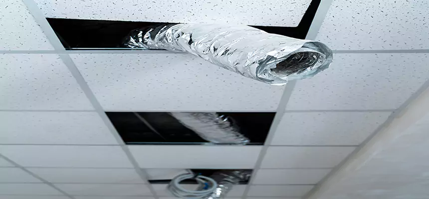 Affordable HVAC Sanitizing After Pest Removal in Alpharetta