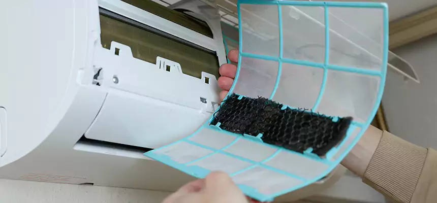 Gentle Ductwork Odor-Control Pet Dander Duct Cleaning in Alpharetta, GA