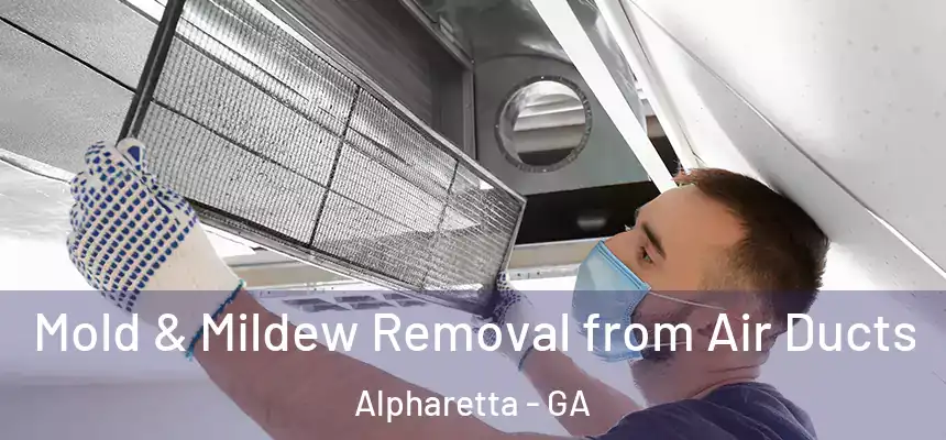 Mold & Mildew Removal from Air Ducts Alpharetta - GA