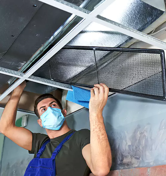 Professional Air Duct Pollen Cleaning in Alpharetta, GA