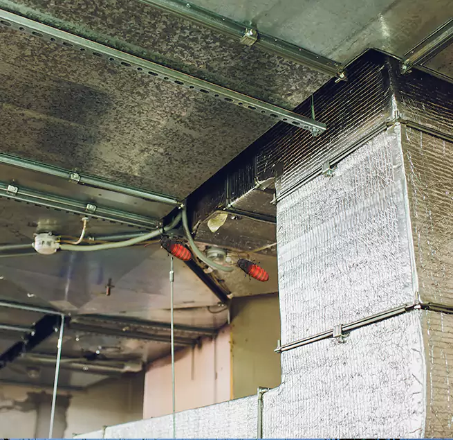 Why Homeowners & Businesses Trust Us in Alpharetta, GA?