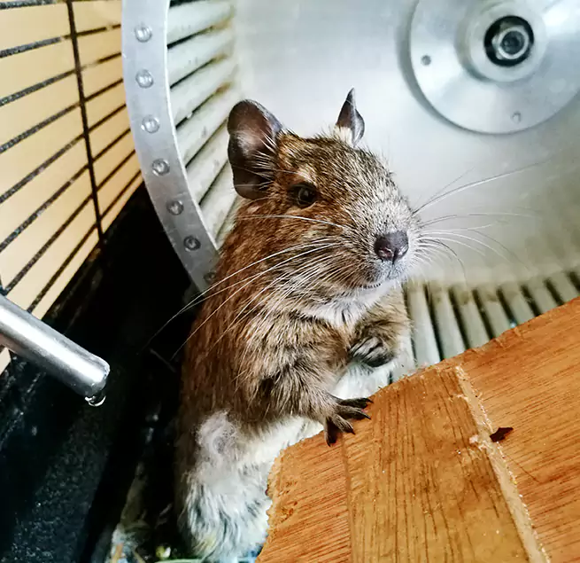 Why Homeowners & Businesses Trust Us Alpharetta, GA