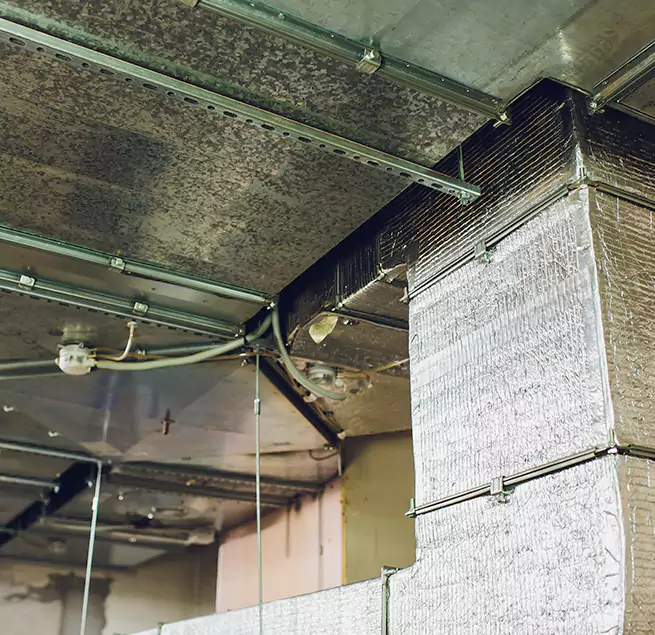 Why Homeowners & Businesses Trust Us in Alpharetta, GA?